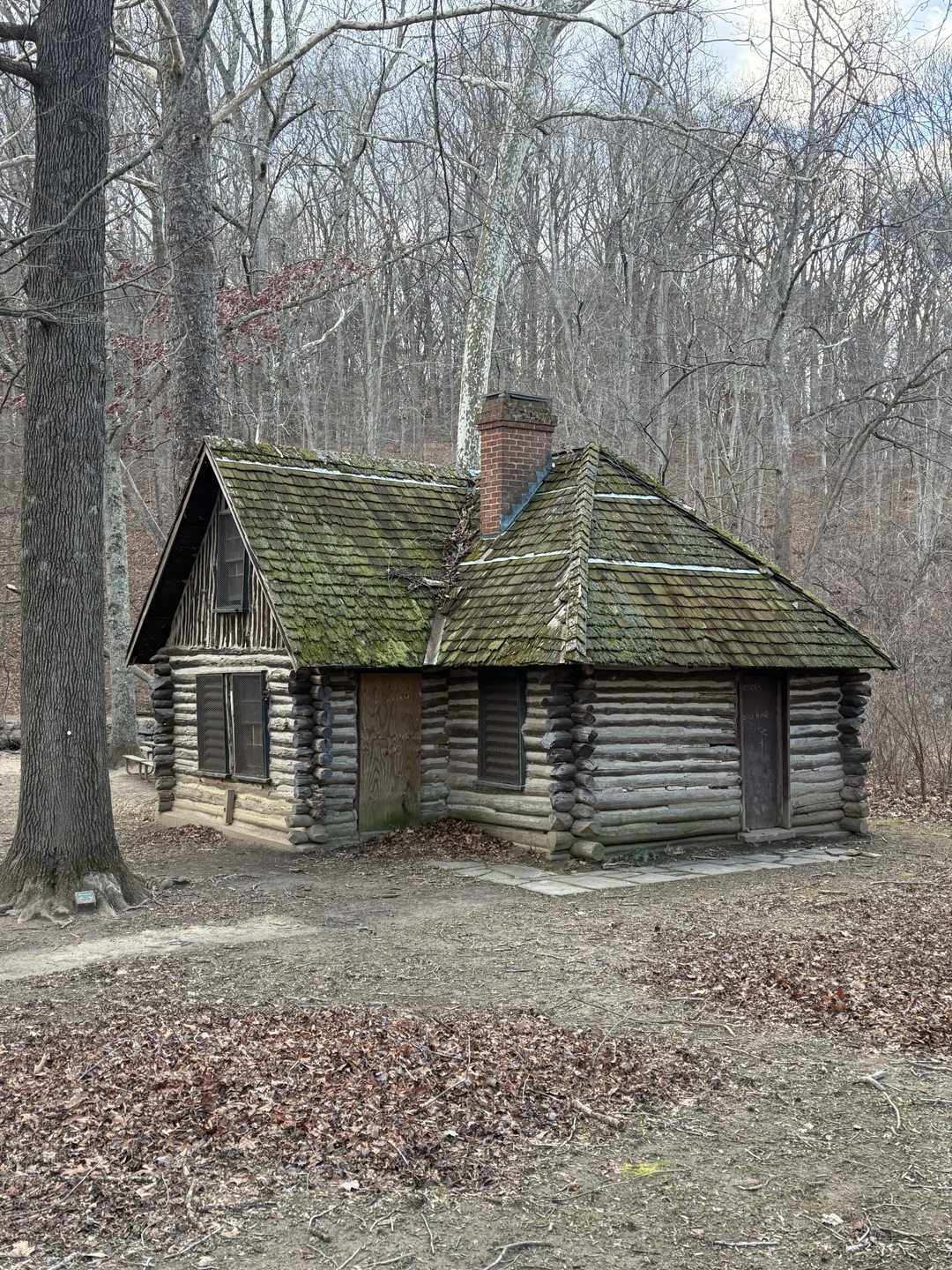 View of the cabin, at its current location within Rock Creek Park, looking west/northwest.